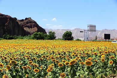 微软20多年老将Larry Hryb即将离开